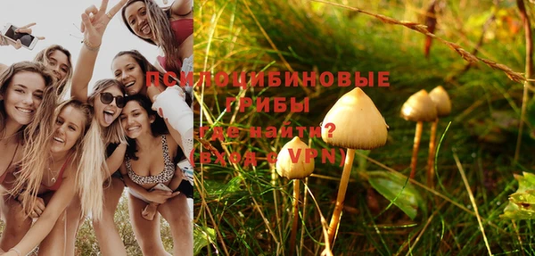 индика Нефтекумск