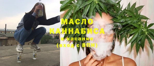 индика Нефтекумск
